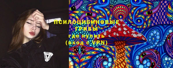 не бодяженный Лабытнанги