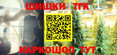 мдпв Гатчина