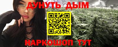 мдпв Гатчина