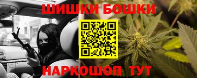 мдпв Гатчина