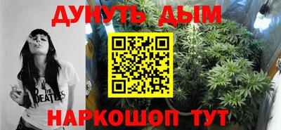 прущие крисы Гай