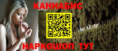 мдпв Гатчина