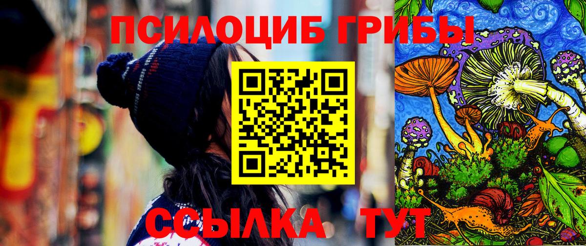 Псилоцибиновые грибы Cubensis  Вход с VPN  Ноябрьск 