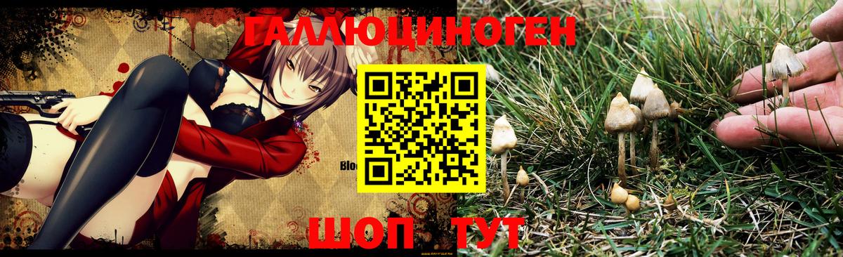 Галлюциногенные грибы ЛСД Ноябрьск