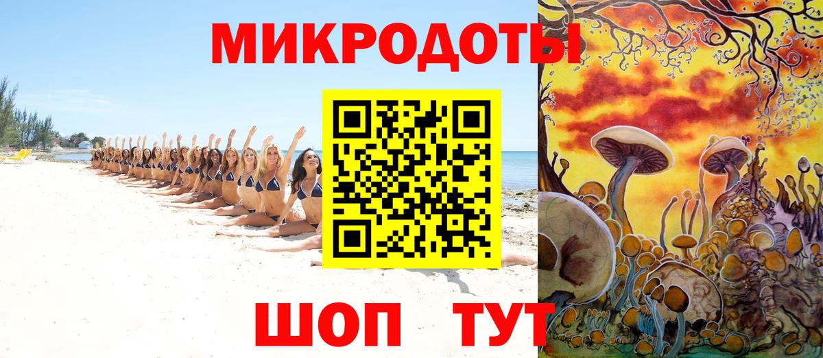 Галлюциногенные грибы мицелий  Псилоцибиновые грибы MAGIC MUSHROOMS  Ноябрьск 